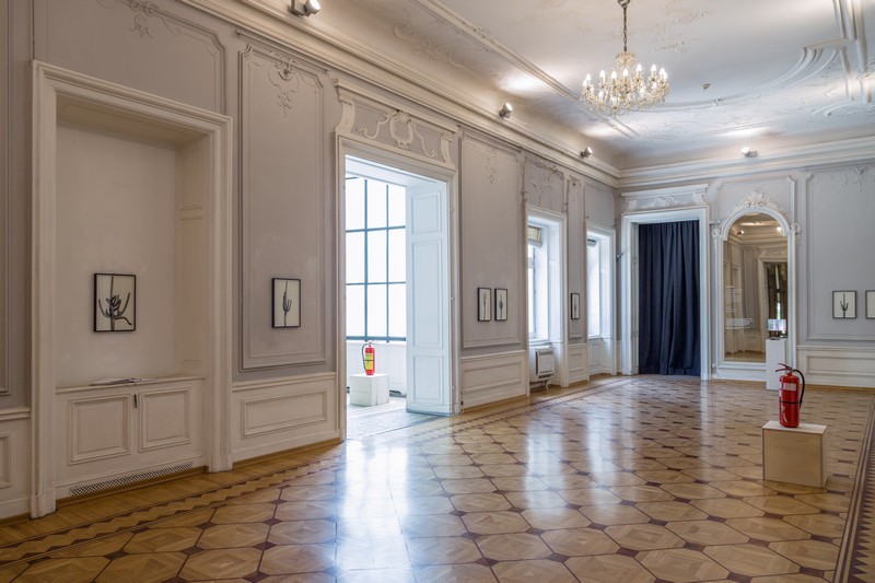 http://www.emileouroumov.fr/files/gimgs/th-35__KSL5869_1_web.jpg